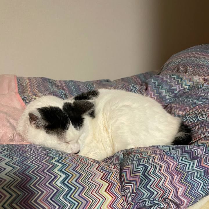 B192c5bd 7f7a 47c1 8a6b ed90f7b1a9e0 1615474826501