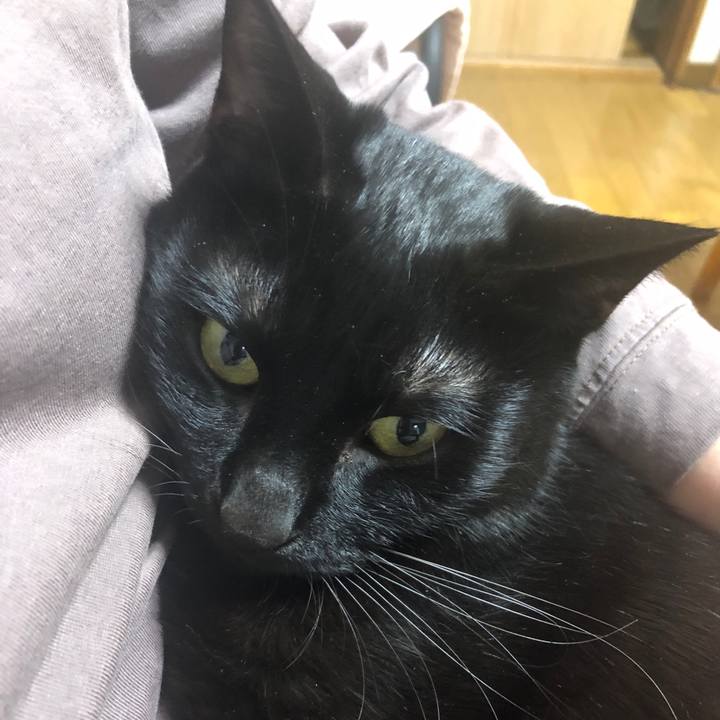 B192c5d1 6431 4c4e 9106 bfcec0b1e763 1704016411692