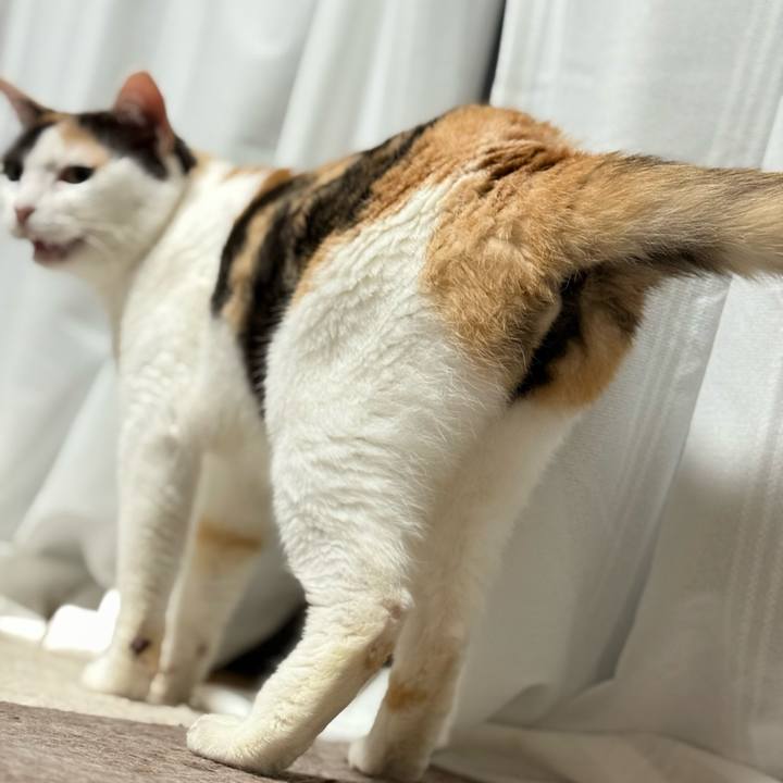 B19306c4 9032 4b75 8463 842380884421 1749437084483