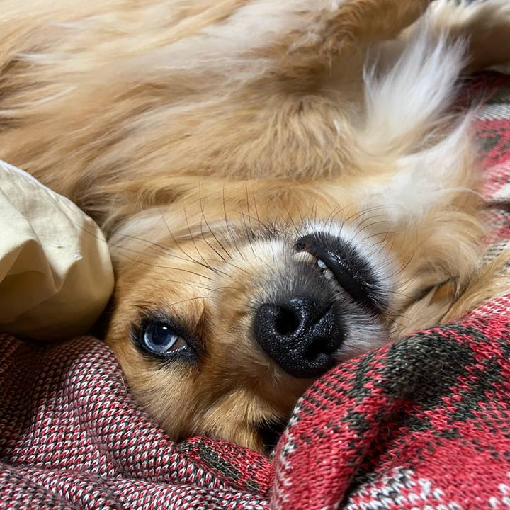 B1931c94 feea 49bf 9666 4acb8b305869 1583571558895