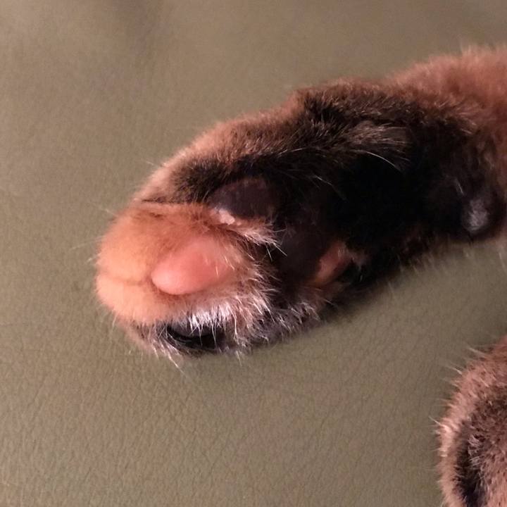 B1932042 0cb1 43f4 96e6 3b97cc3322ce 1571739081722