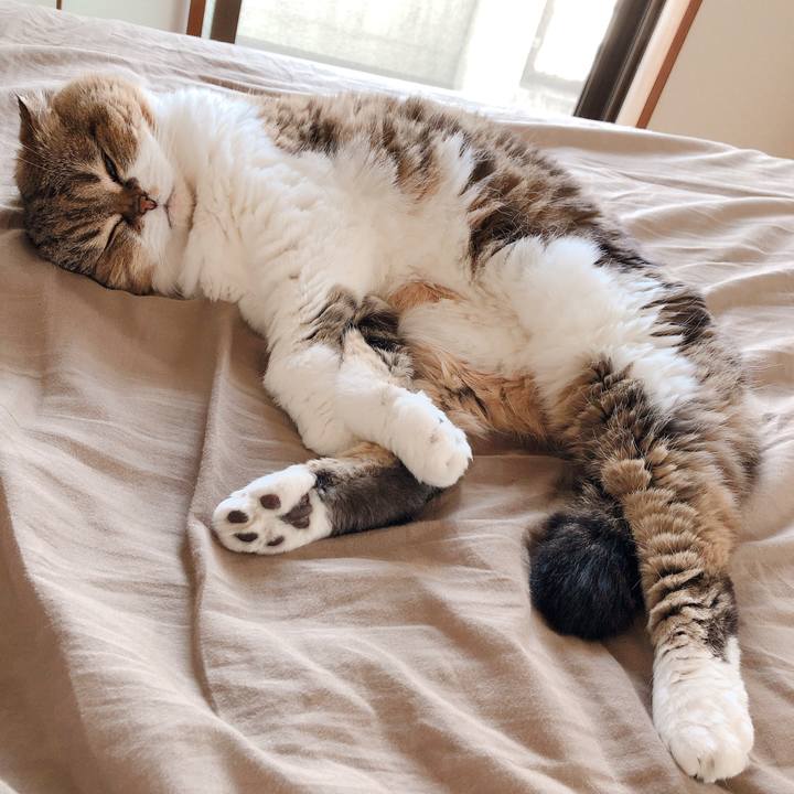 B193730c e09f 46bd 9216 8970b818c254 1558930693613