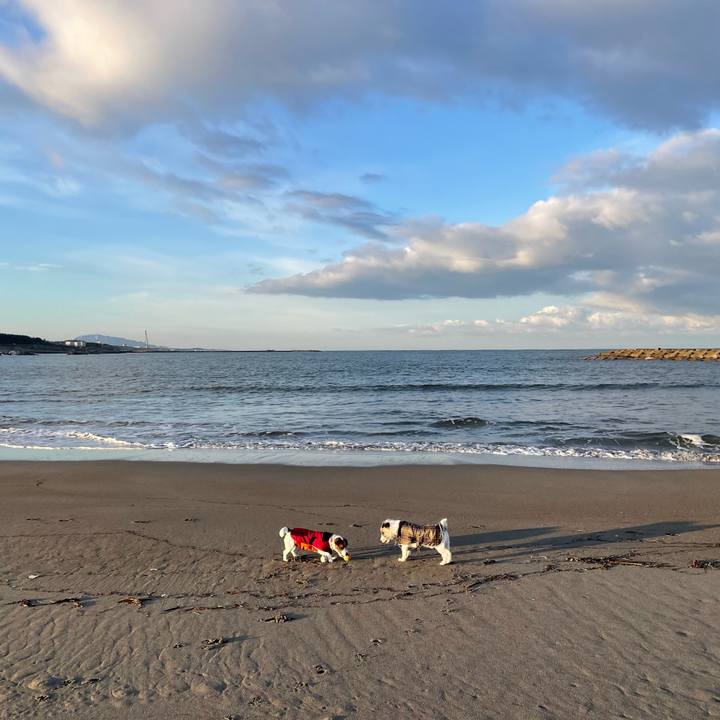 B193b8d0 43b3 454f b802 2dc50a84f715 1672187045727