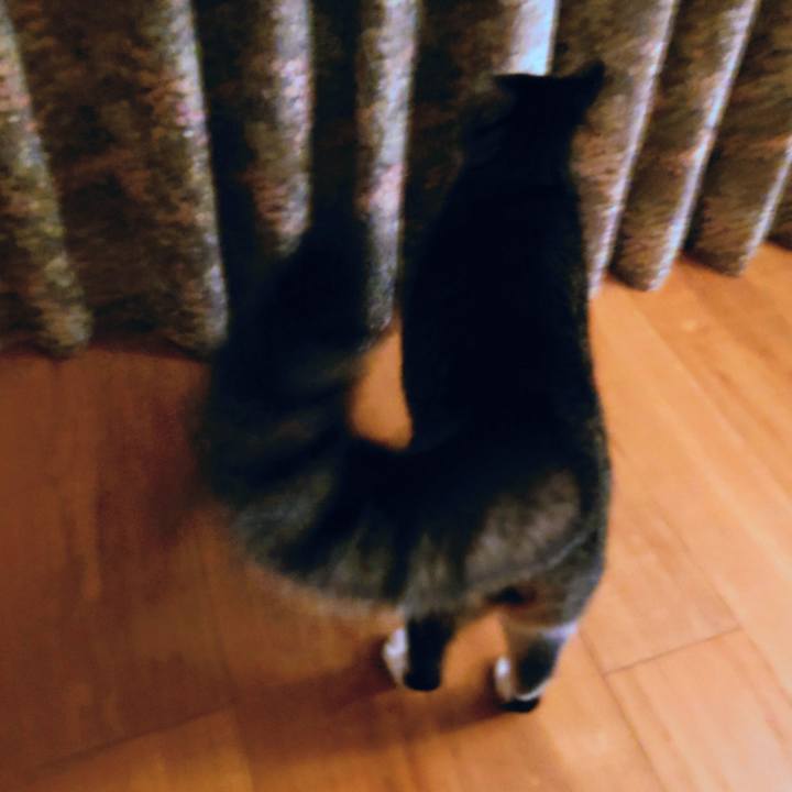 B193df28 0c1f 4589 8025 5ffe5e5205df 1762873552677