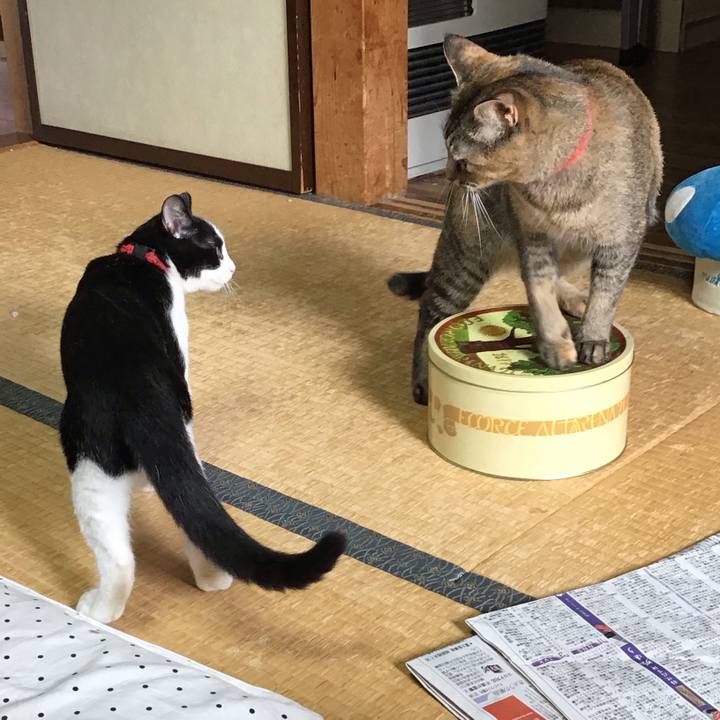 B193ec60 d0d2 465c a4cd a42b07cb718a 1629683967052