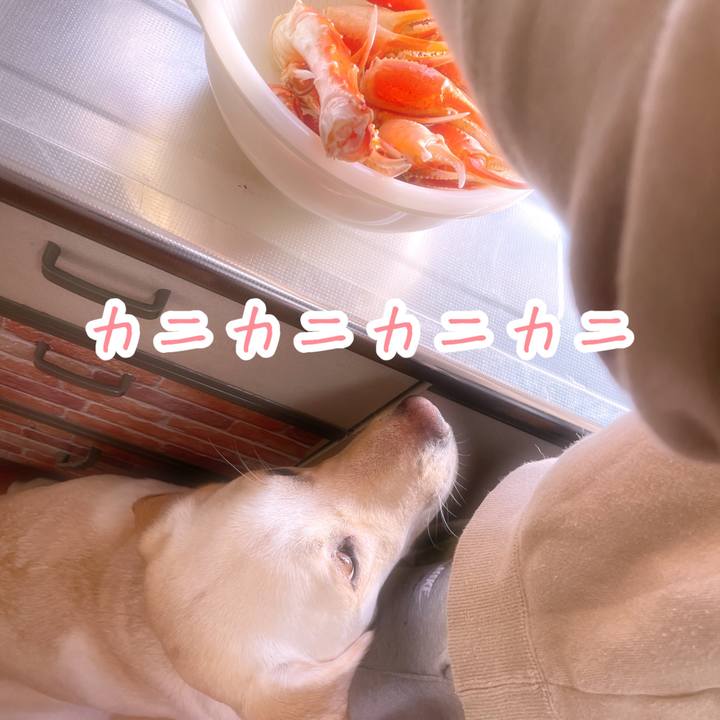 B193fd07 c411 4418 a6fb 23b98ec53bb1 1672476331853