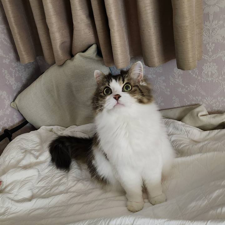 B1948ce1 fd22 40f3 ac50 586eccfa90c7 1738363757172