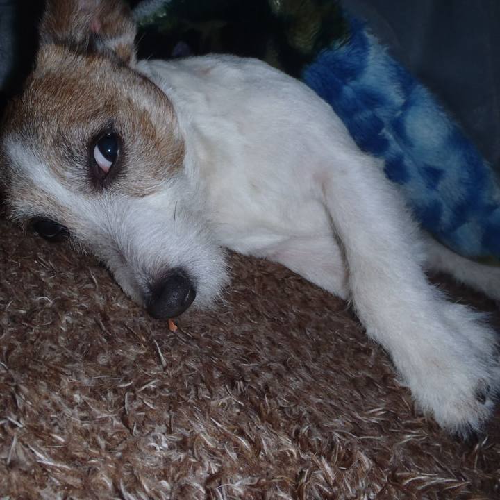 B1949566 6bea 4756 a3f4 890f6cf7b7ef 1519731010029