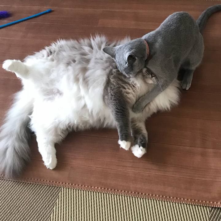 B194b1bd a0ac 4007 92fb c41eb4de498a 1522245081916