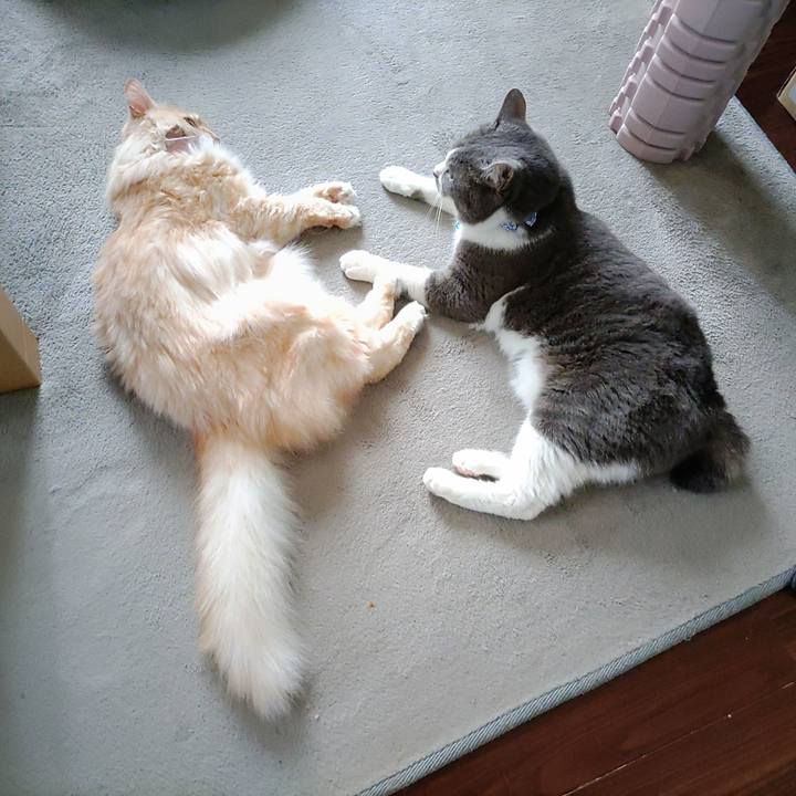 B194d662 dfd7 46f0 8737 12fb7ae04bea 1723606112950