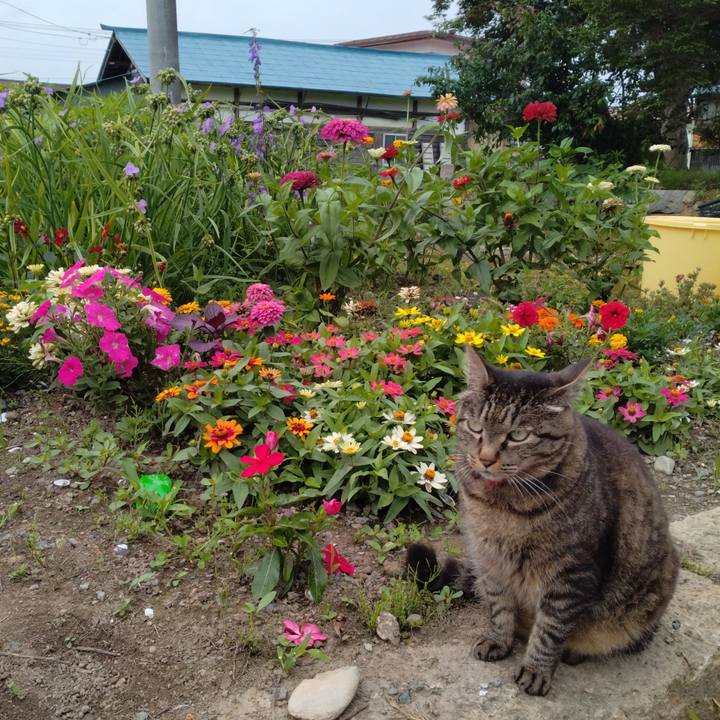 B194e0c5 add4 4226 a913 5fbf70fe5b41 1688688101911