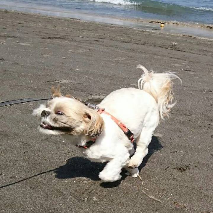 B195144c 31f0 4357 afa8 cb90926264c0 1554611571415