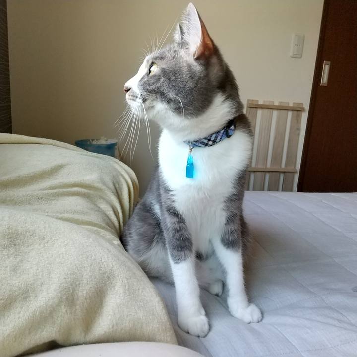 B19515f4 a8a0 4d91 a6ef e668b0b6a210 1597531080003