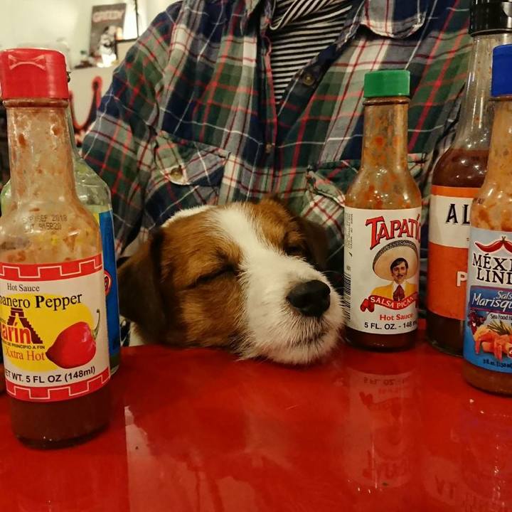 B1952132 9f2f 469a 9726 574b3c5b64ca 1518435138413