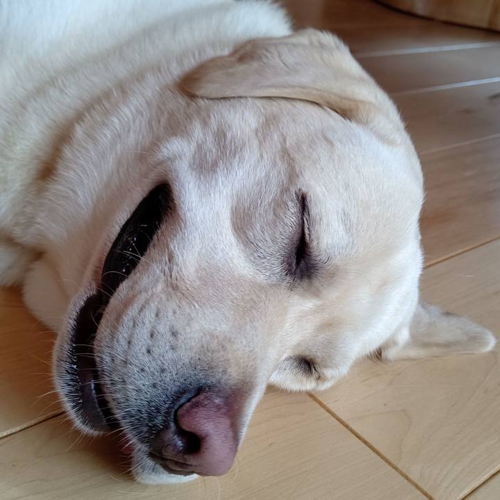 B1956db9 0cc3 4bef 86bb 06fde5e90b2b 1594430560168