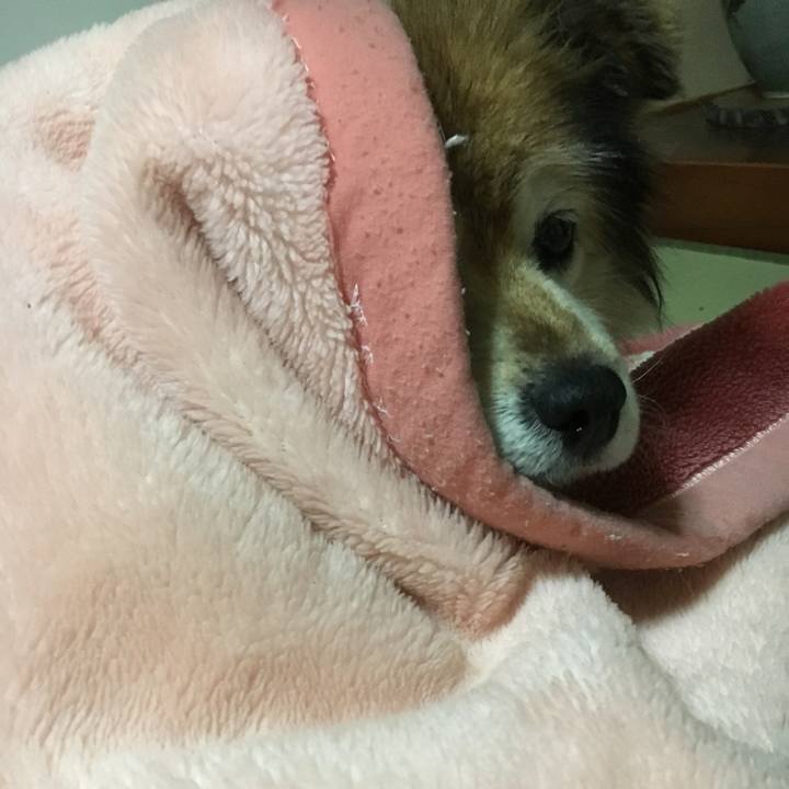 B195a81c 6ff7 420c bb18 c381167fb1c1 1615610092605