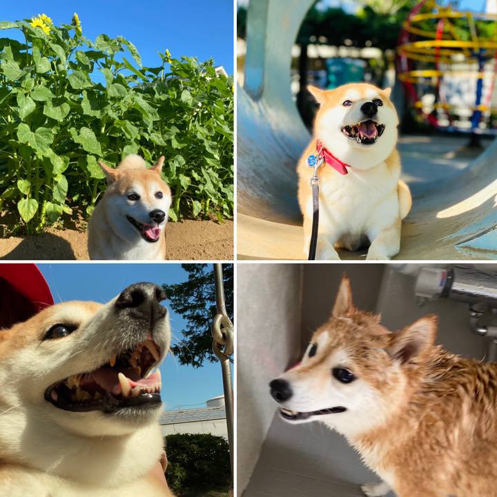 B195f059 afee 4340 88ff 3602ea7cae86 1627173299423