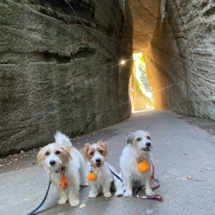 B195fff5 2647 4975 87af 575b05901282 1760703868036