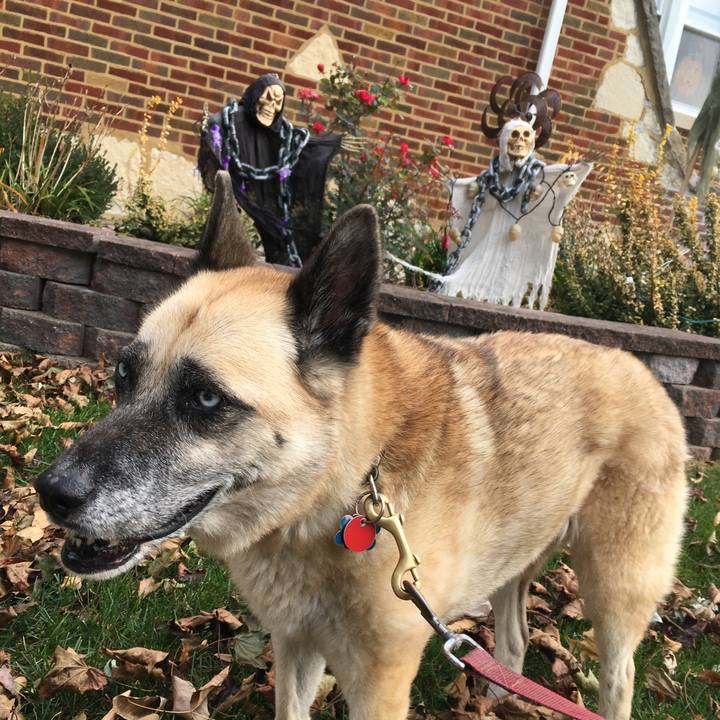 B1961474 8bda 439f 9121 77b9f5bfee23 1540677177456