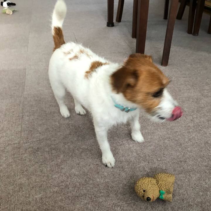 B19691cb cb25 4db5 96b5 4819c8cf7b36 1534500736875