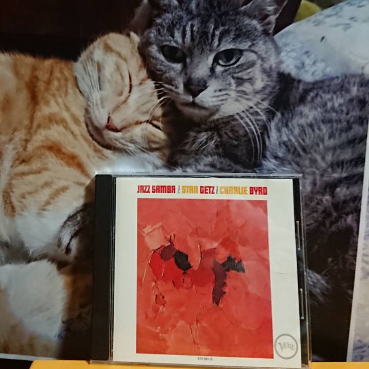 B196ad85 22ea 42cb 8633 e2712e5cf8b6 1615288362584