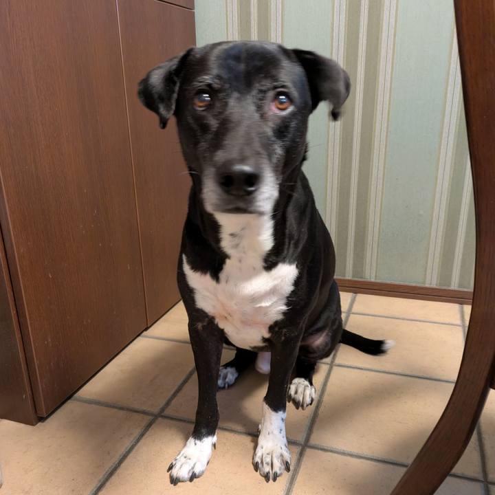 B196b3f4 67fb 4fc2 bea7 968f8197bf91 1737284502198