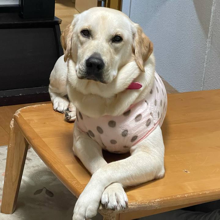 B196eb9f 30db 42b0 991c 0c7ed8af363e 1634822183851