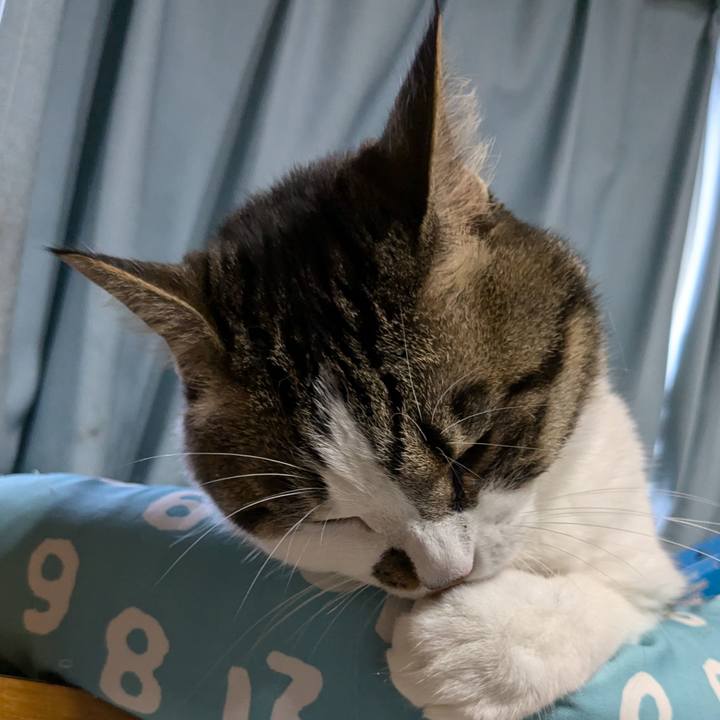 B1970d9c 75e1 4f9e b6ac 1235c8d335ed 1719434578036