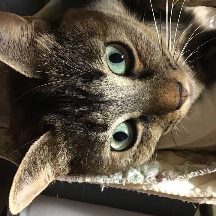 B19718cb 7ca4 4a20 81da a6ced3215d58 1635152676210