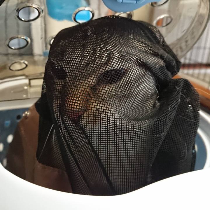 B1972a7b 5012 49ae bd77 fcd99ef47cc1 1594432403333