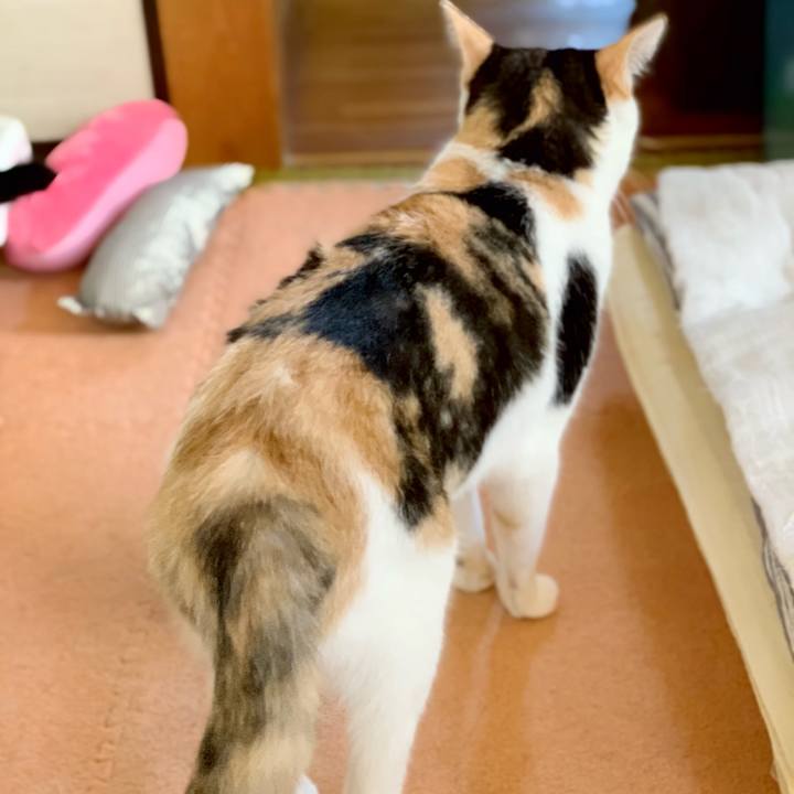 B197480c 4987 489a 8599 787a673d03dc 1539570041631