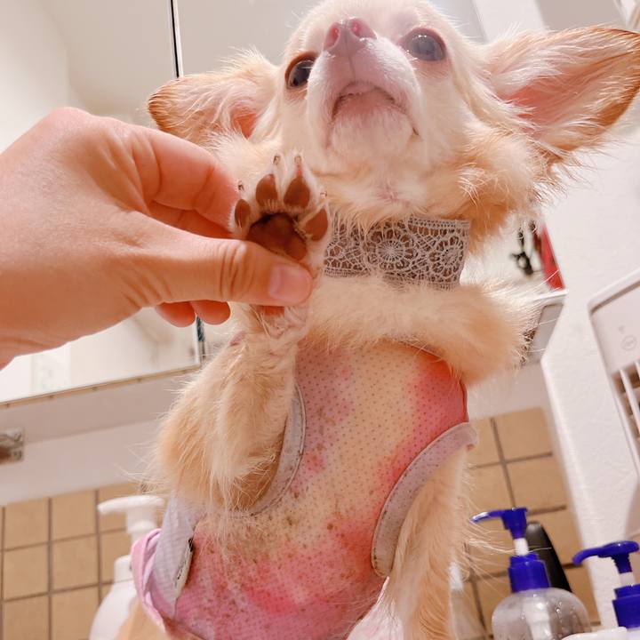 B1975a0e e302 4012 aa96 0ec6f5f23286 1661915354498