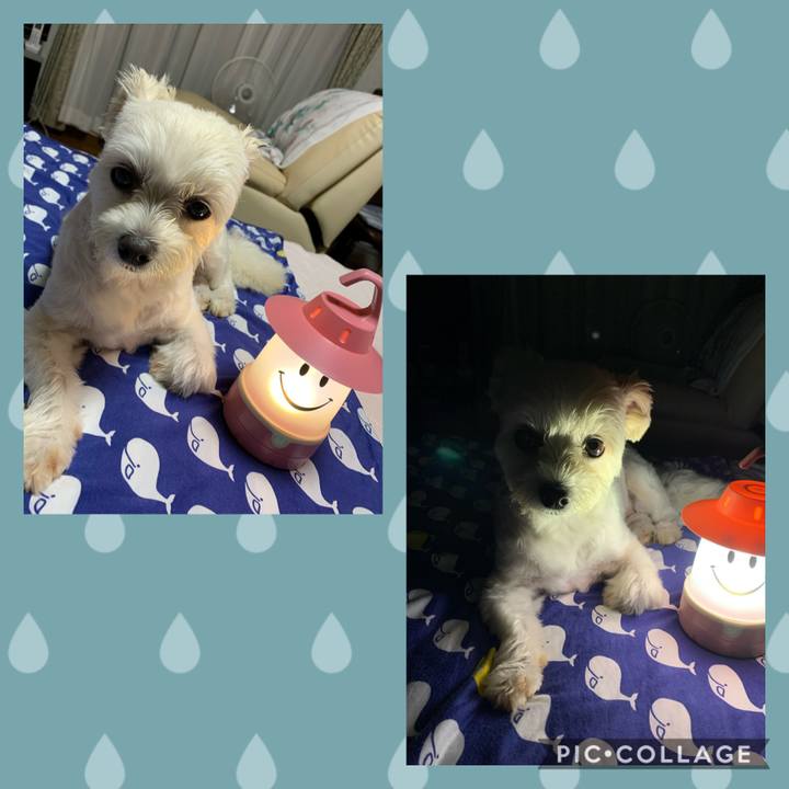 B19773e9 6540 43f2 9ece e2c47dc2ab43 1599828963789