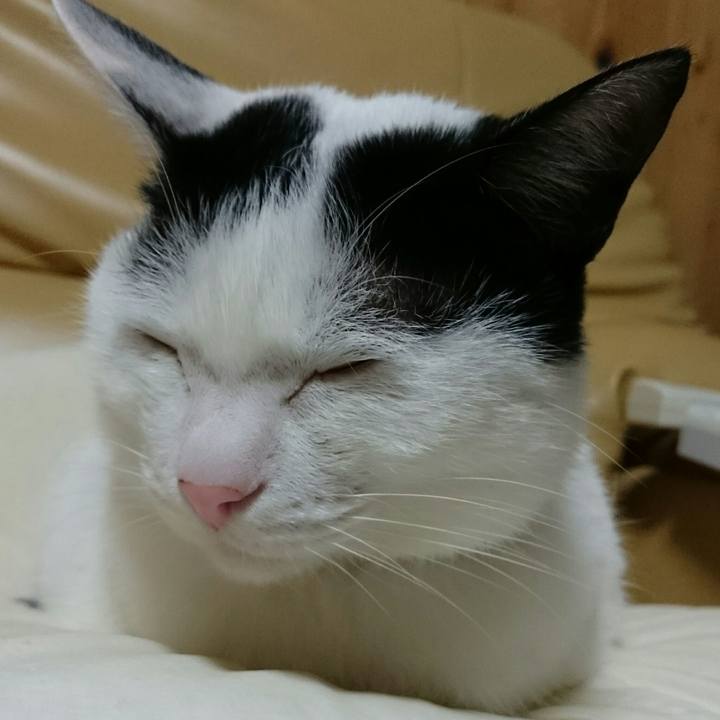 B19785ac 9a4f 4c26 8e32 bd58022059f7 1508504423947