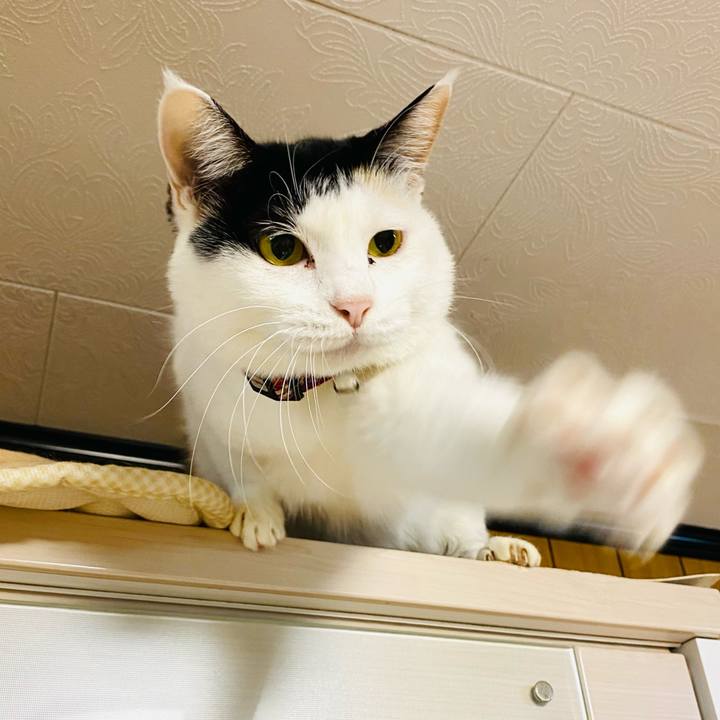 B197880e 8e51 4330 9d47 7ded4692f23b 1666874900129