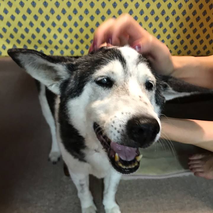 B19788c3 f03a 438f bf82 3ce95ee5ec8b 1570944982477