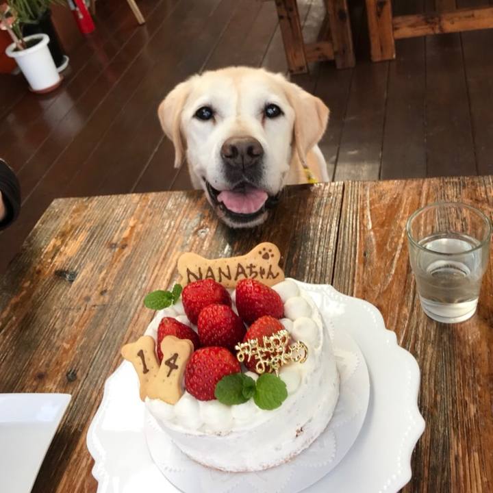 B197906e 329b 497c 83c4 5c647272317f 1574569442547