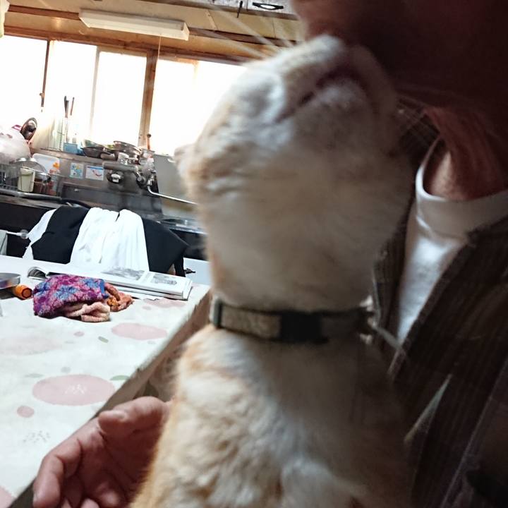 B197a363 61ef 44d5 a2c0 c4e0575fae7c 1591215324061