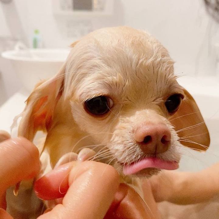 B197c75f 6310 47b0 89f2 0868f1984831 1737771782798