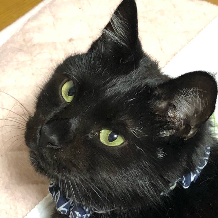 B197e543 af78 44a6 8695 a97c6bab9c72 1559645112711