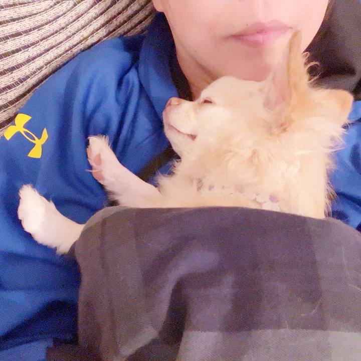 B197ee4e 4864 433d a907 09ea28617d56 1733403697906