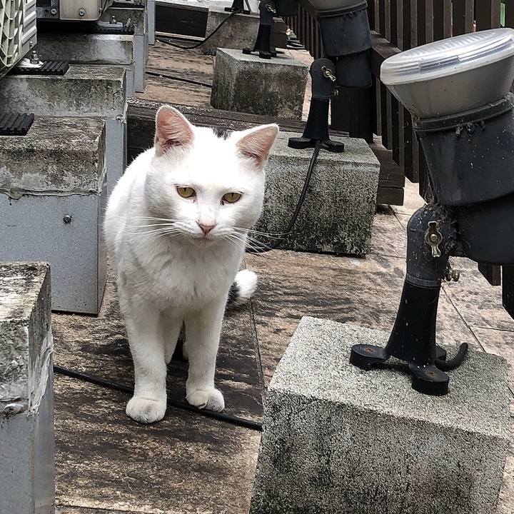 B197f475 dab2 41fd 9f1c 166fd0ca014f 1665026009523