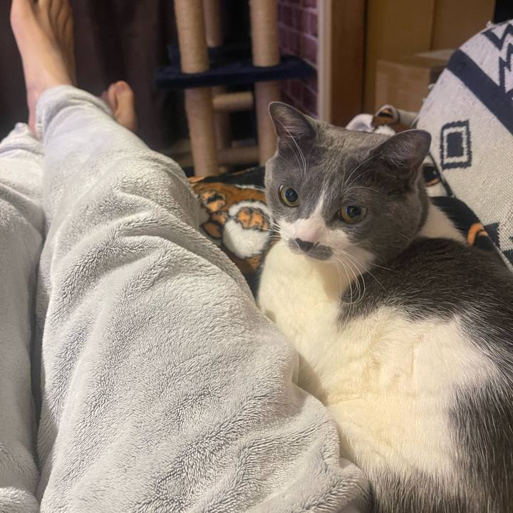 B197fbc5 4049 4211 a5c3 23ed734c0e9e 1737721078057