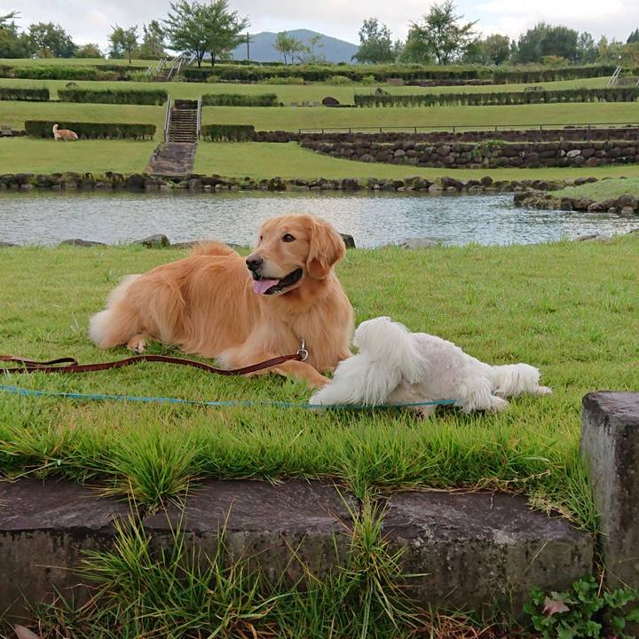 B1980155 3dab 4319 a771 4c807df707ab 1569370703500