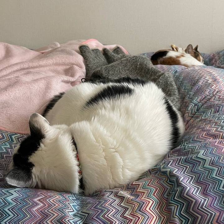 B1981faf 7e12 4a2a 883e ac7db2f1405b 1644280616744