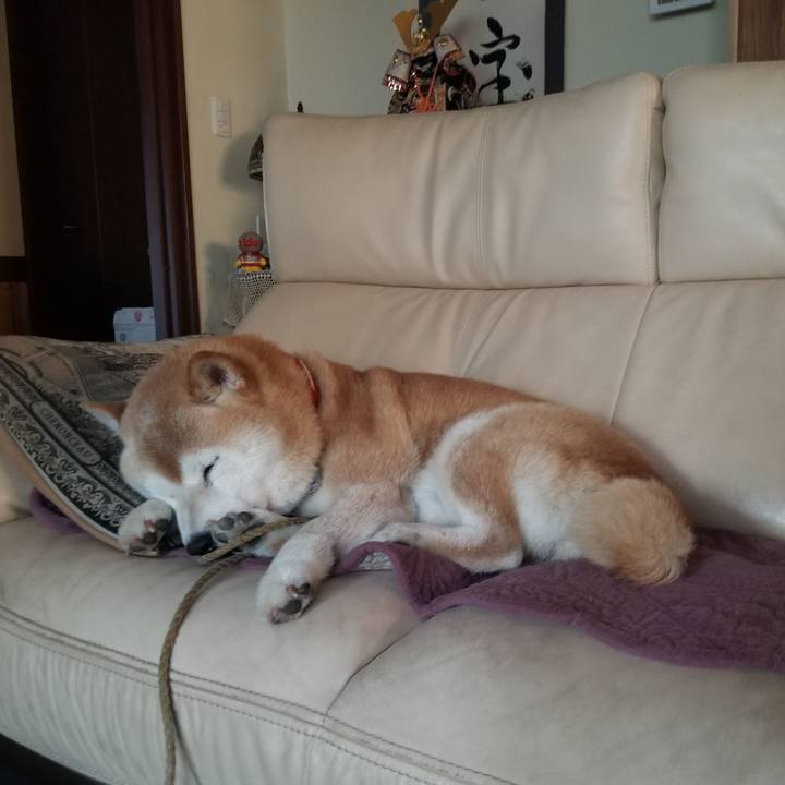 B1984b05 2673 4848 a225 3c81407f43a5 1716326150198