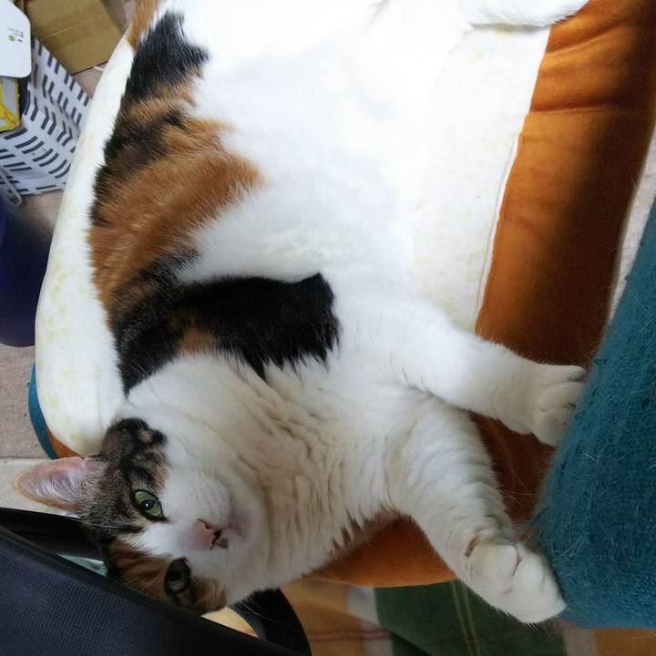 B1985702 7f1e 4e34 88f3 ea8bbe99cd4d 1529415822463