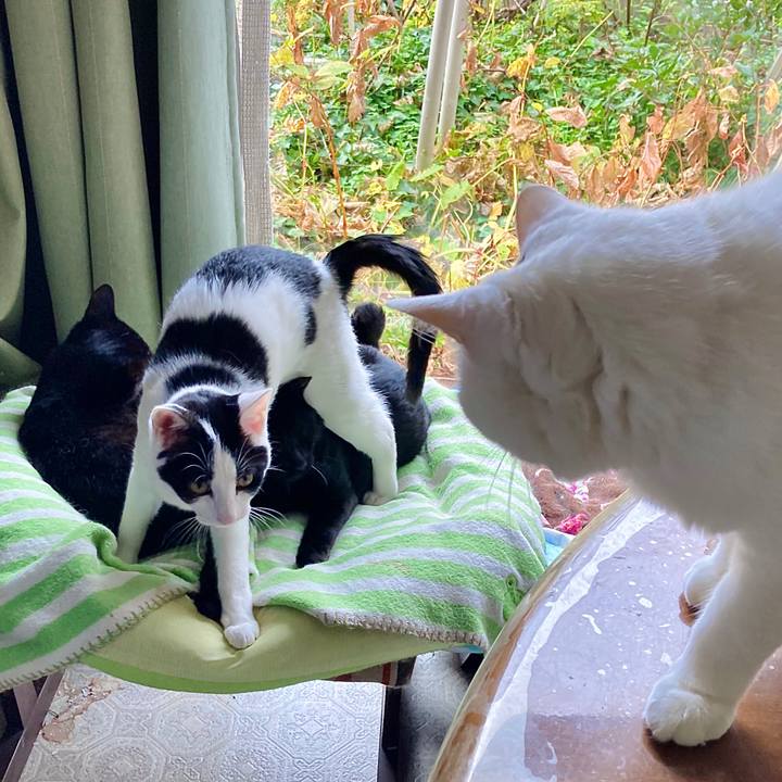 B19859b6 5ff7 4df3 818f 8e8acdf65ffe 1636354536105