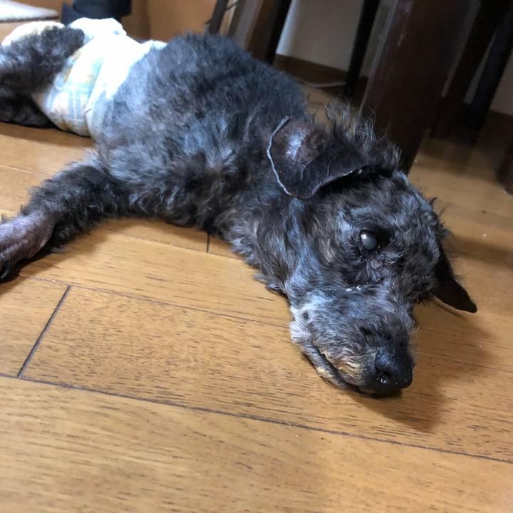 B1986b92 6314 4c69 ae8d 36f4ec9a21d1 1597804126597