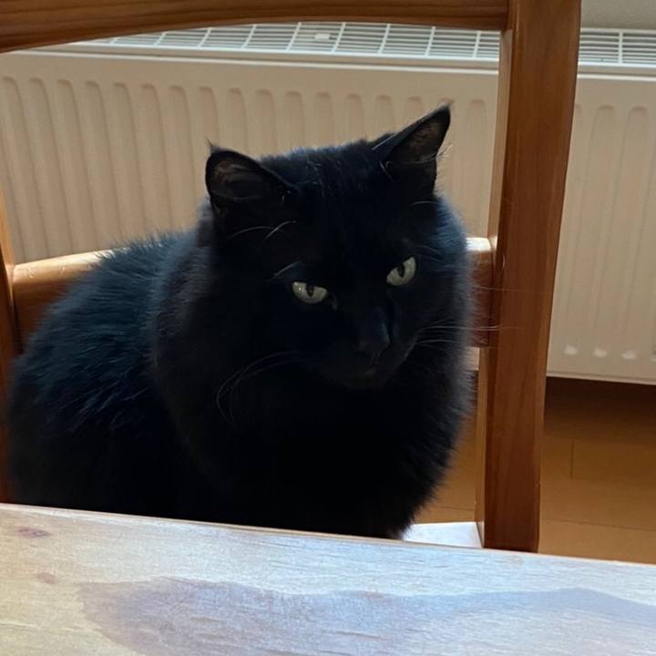 B198a5eb 0c0e 49ff 81bf f97eca3c28cd 1591680624324